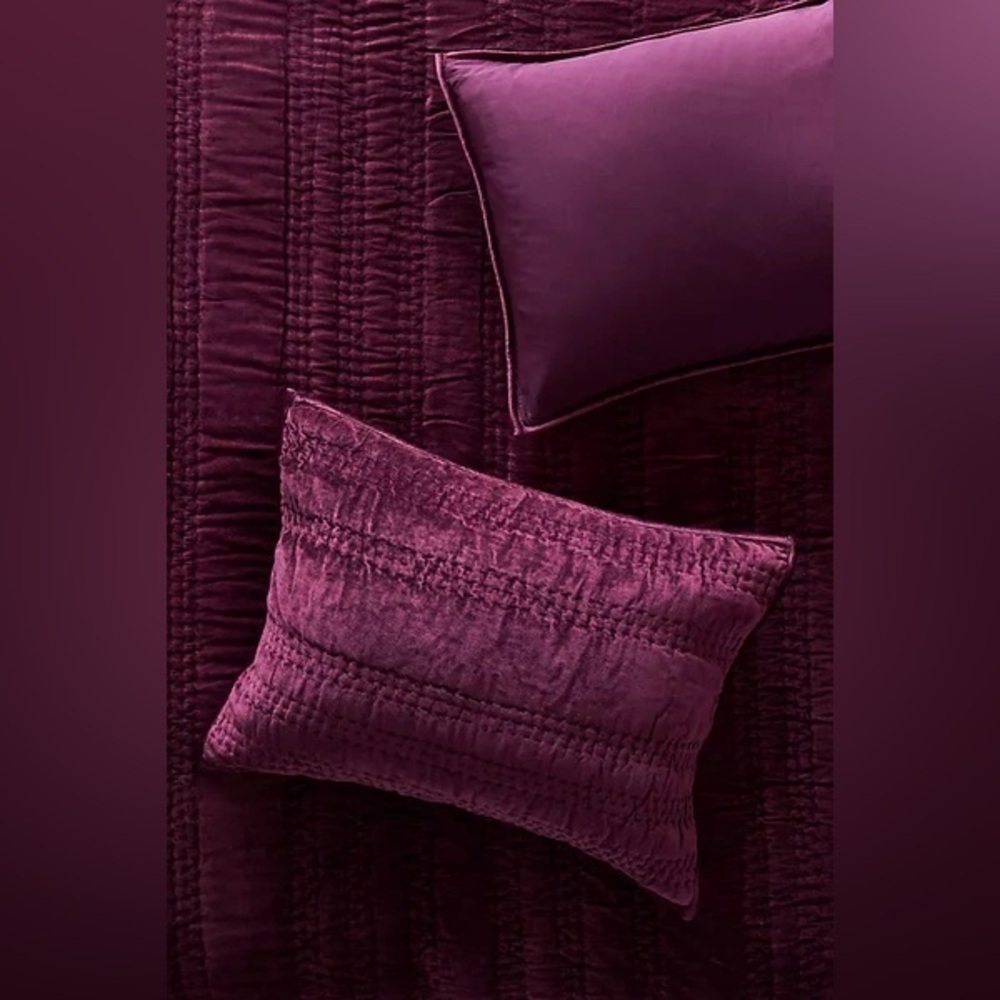 Anthropologie Lustered Velvet Alastair Shams Size King NWT